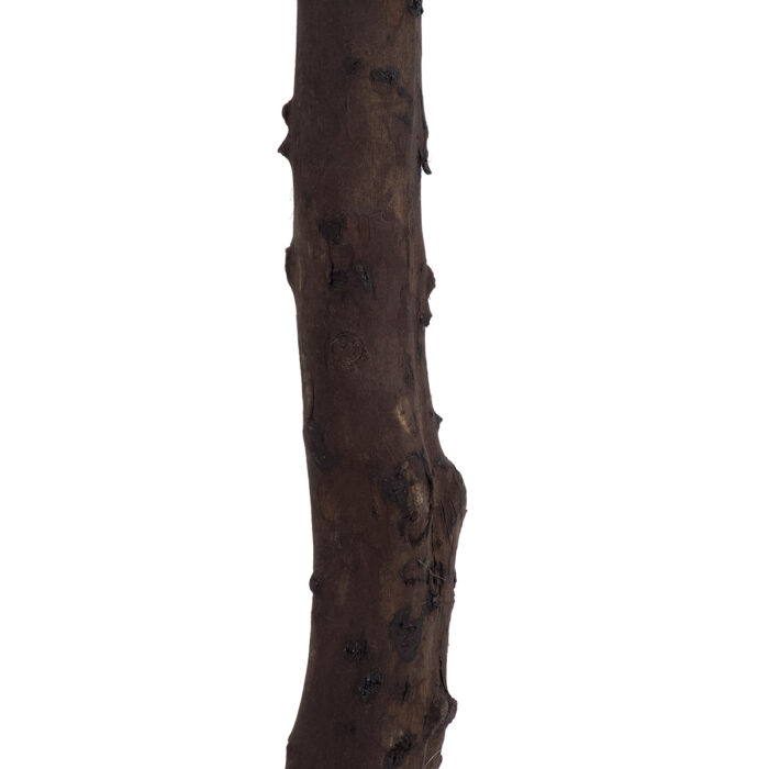 20141 5 homepaketo Artificial Garden BIANCA CHERRY BLOSSOM TREE 20141 Τεχνητό Διακοσμητικό Δέντρο Λευκή Κερασιά Υ160cm