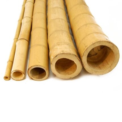 Bamboo poles Ø3-3