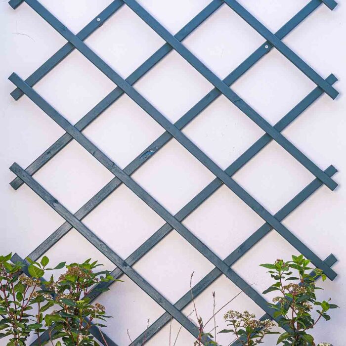 Expanding wall trellis-pergola 200 x 100cm